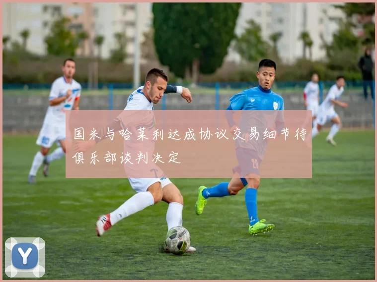 国米与哈莱利达成协议交易细节待俱乐部谈判决定