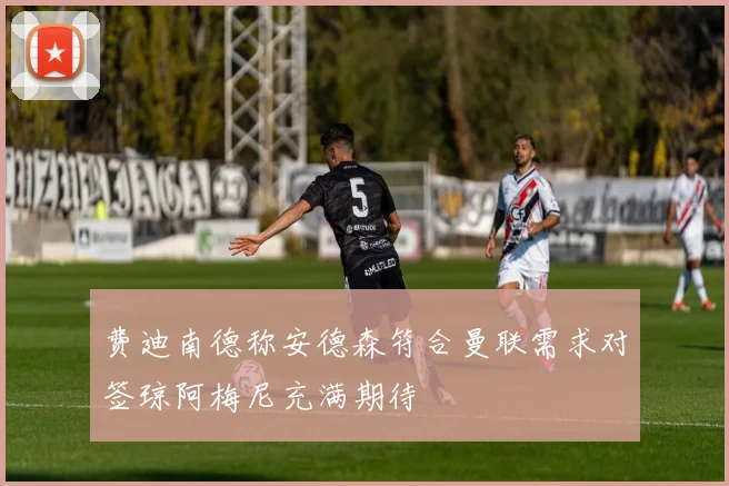 费迪南德称安德森符合曼联需求对签琼阿梅尼充满期待