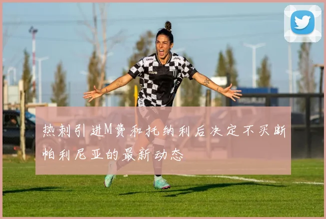 热刺引进M费和托纳利后决定不买断帕利尼亚的最新动态