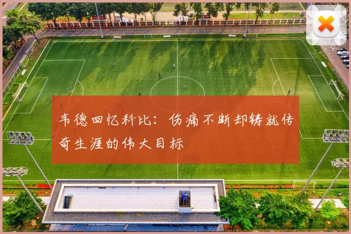 韦德回忆科比：伤痛不断却铸就传奇生涯的伟大目标